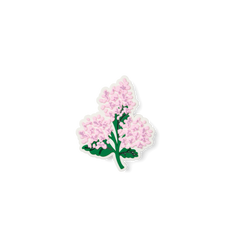 Bogg Bit Pink Hydrangea